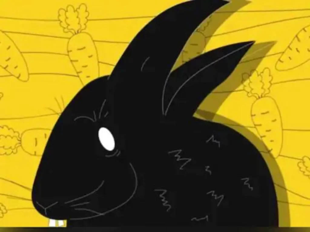 Crow or Rabbit Optical Illusions that reveal your personality